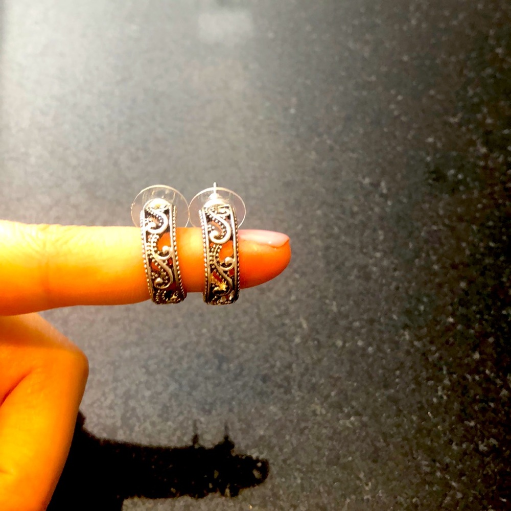 Accessory earings